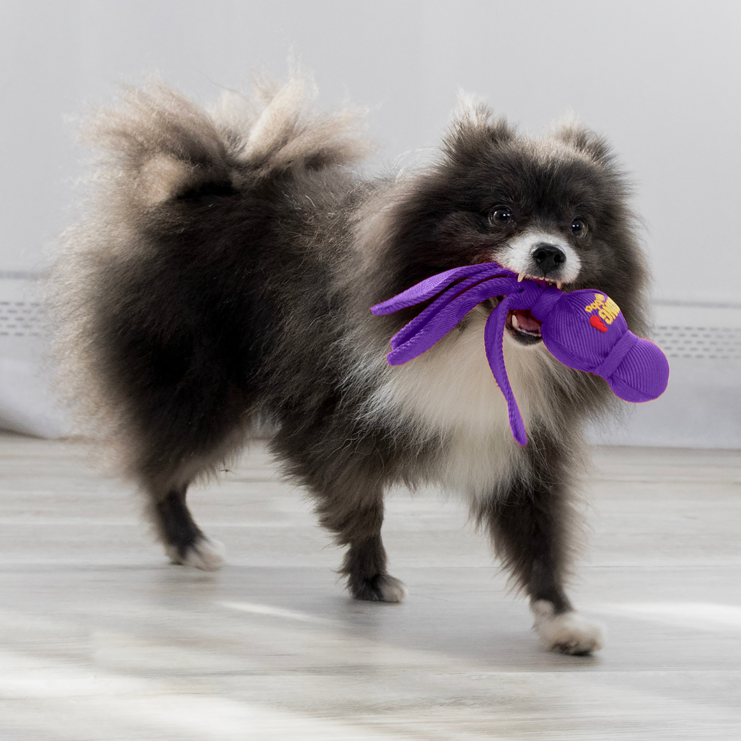 KONG Wubba Dog Toy