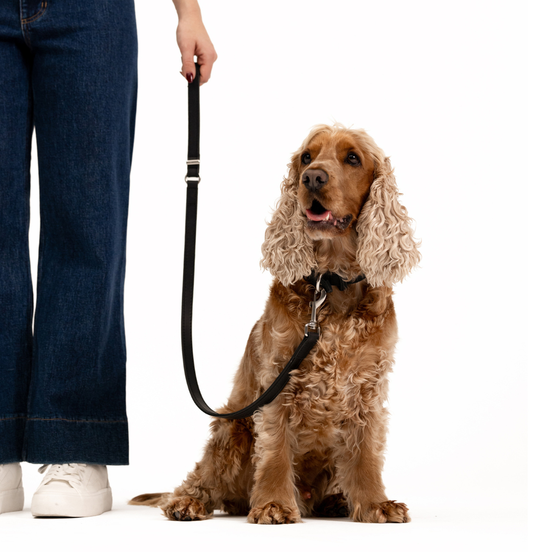 EZYDOG Oxford Leather Dog Leash