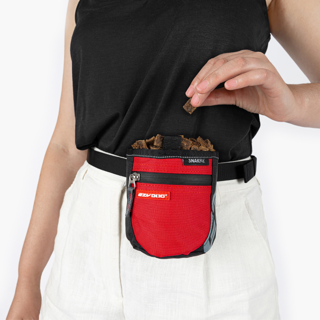 EZYDOG SnakPak Training Treat Bag