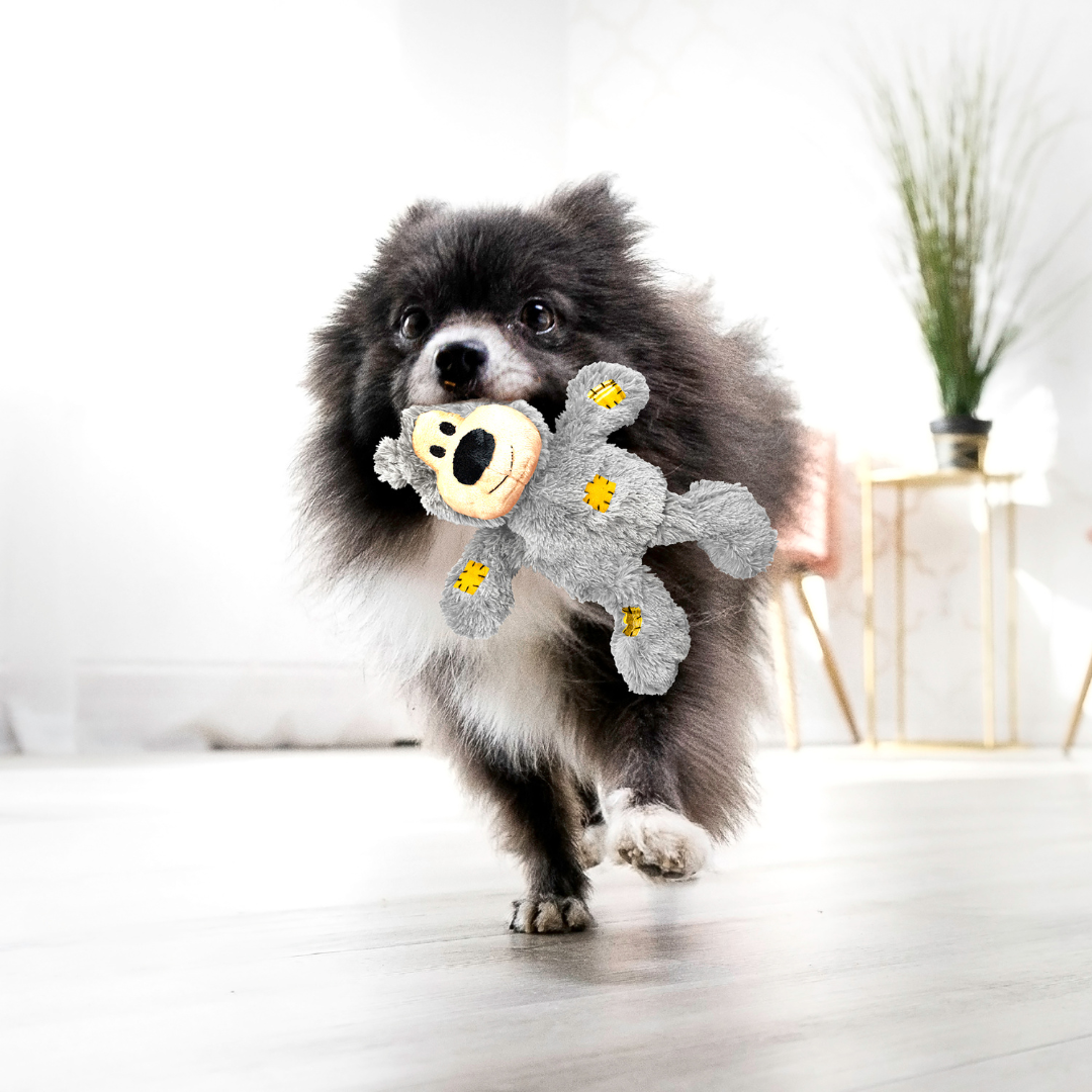 KONG Wild Knots Bears Dog Toy
