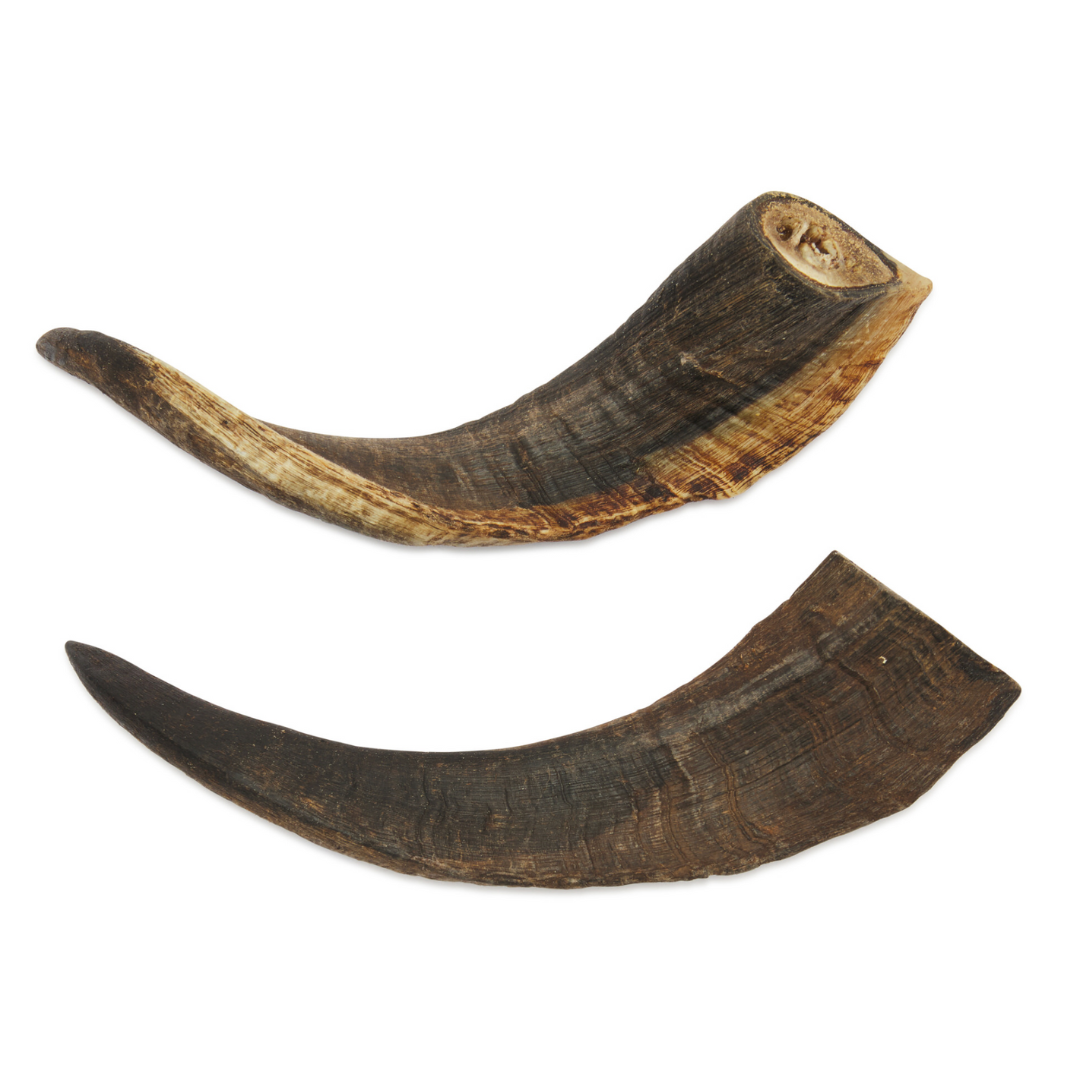 Goat horns