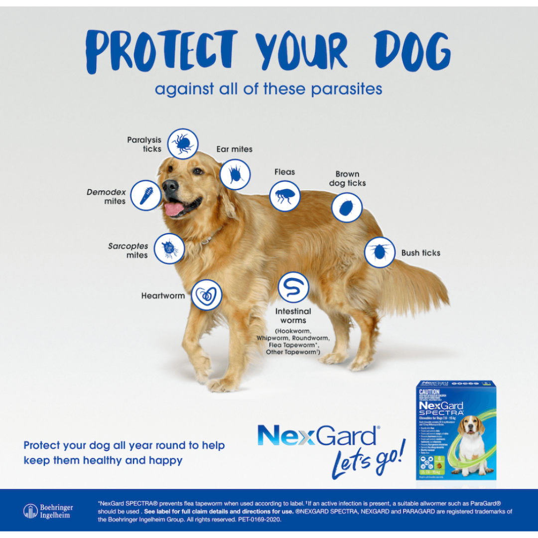 Nexgard Spectra Medium Dog
