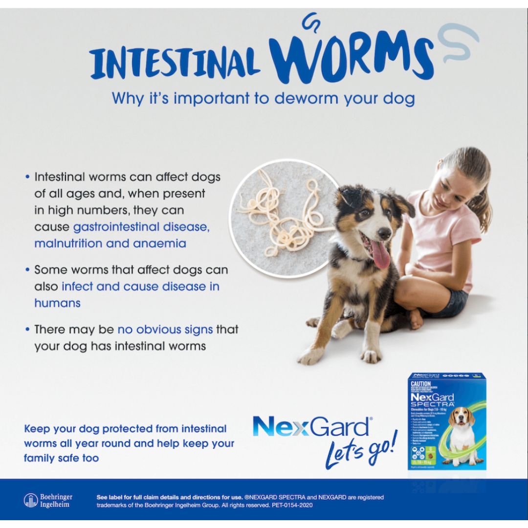 Nexgard Spectra Medium Dog