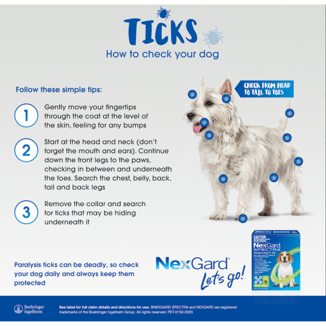 Nexgard Spectra Medium Dog