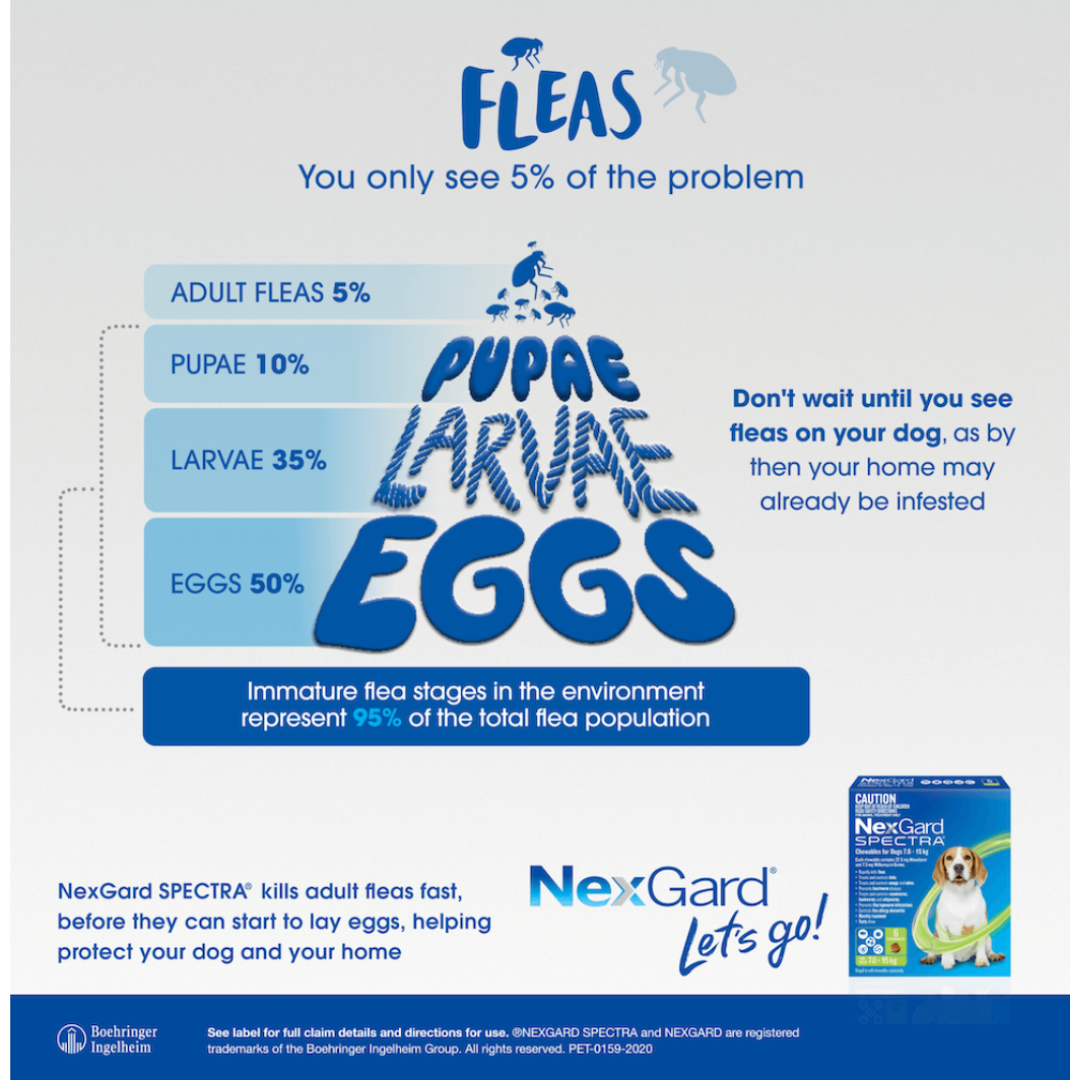 Nexgard Spectra Medium Dog