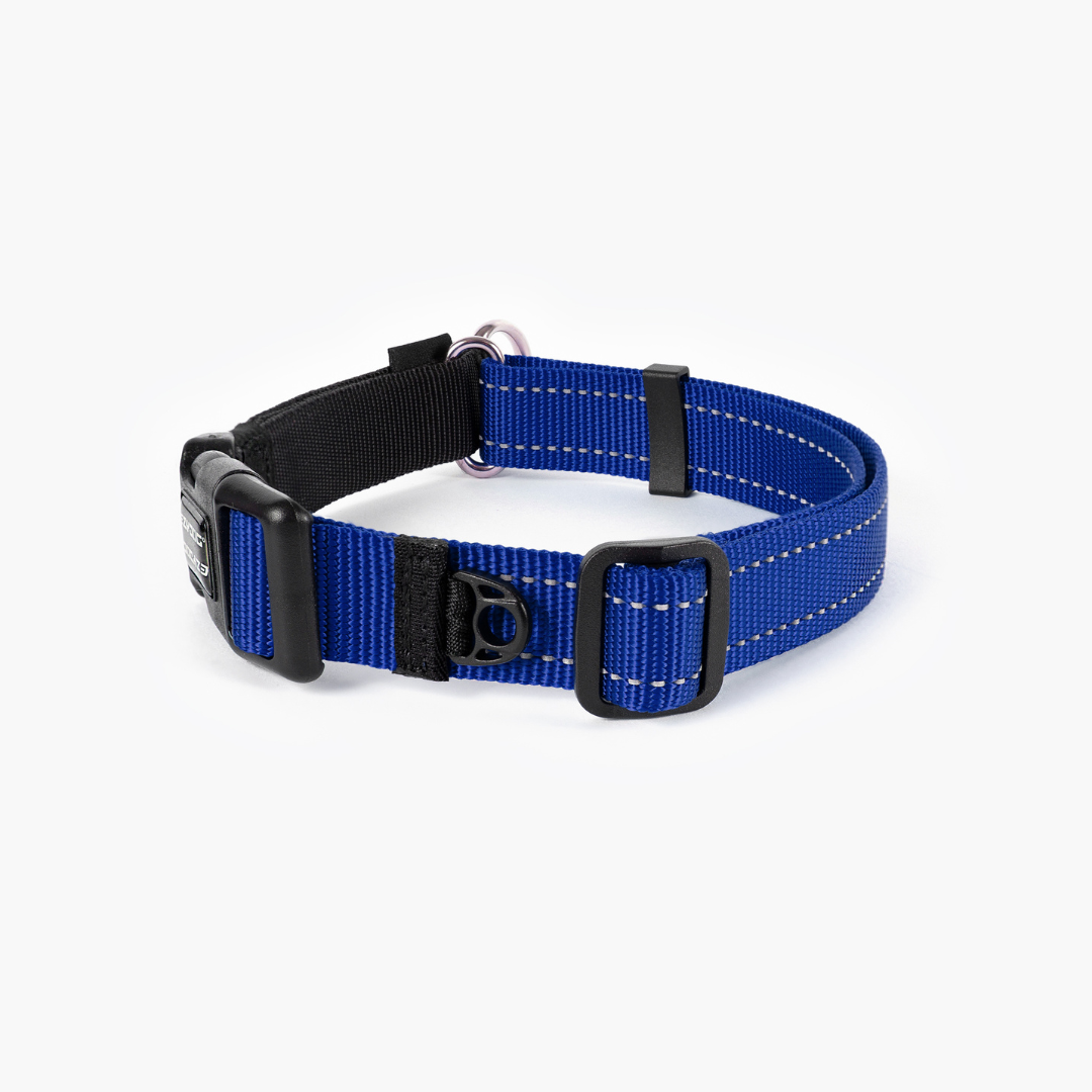EZYDOG Checkmate Collar