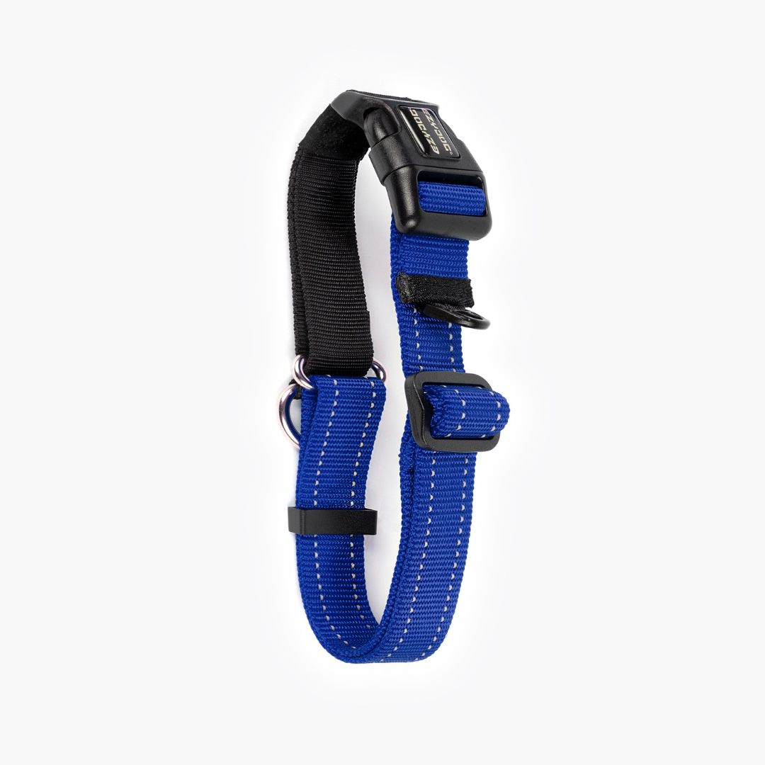 EZYDOG Checkmate Collar