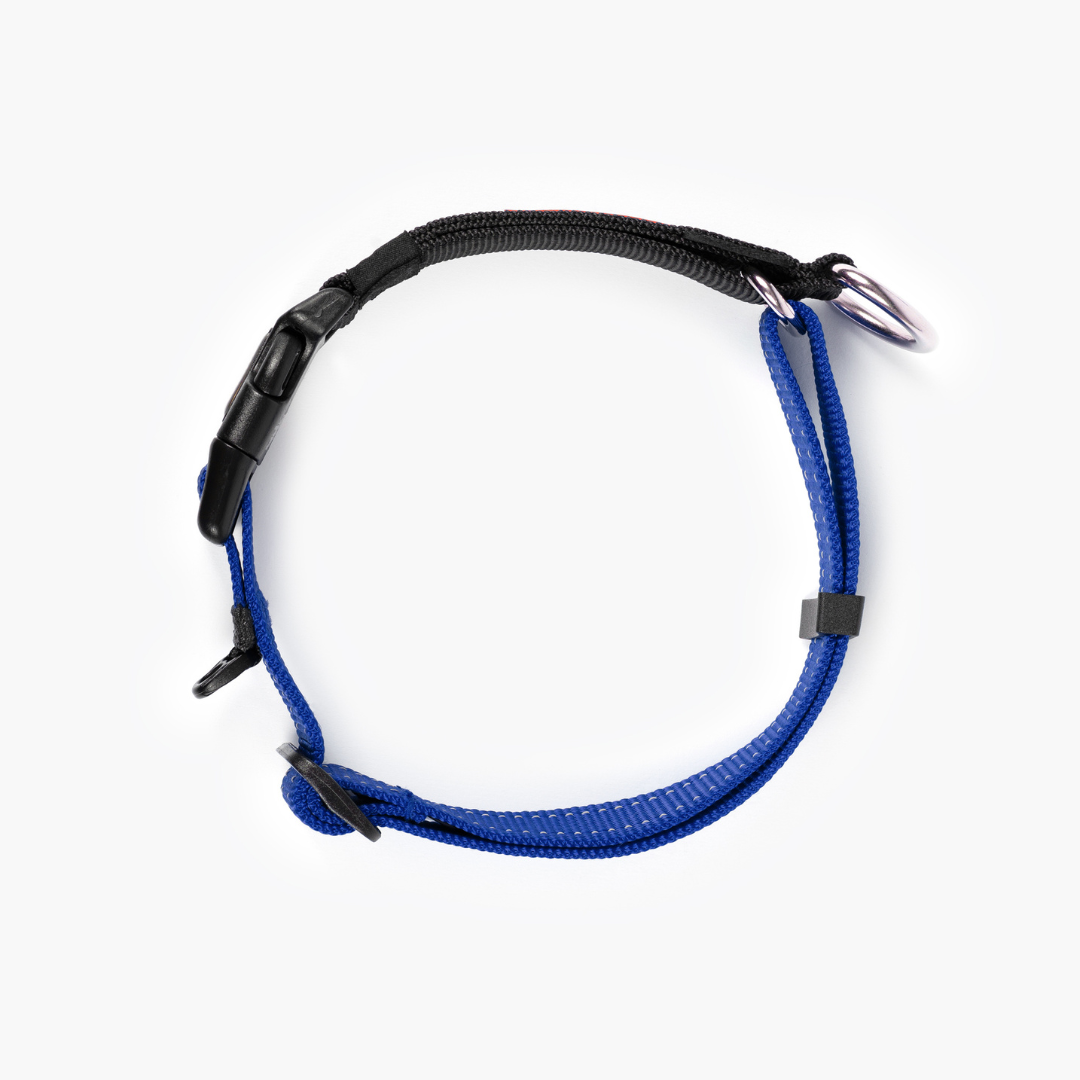 EZYDOG Checkmate Collar