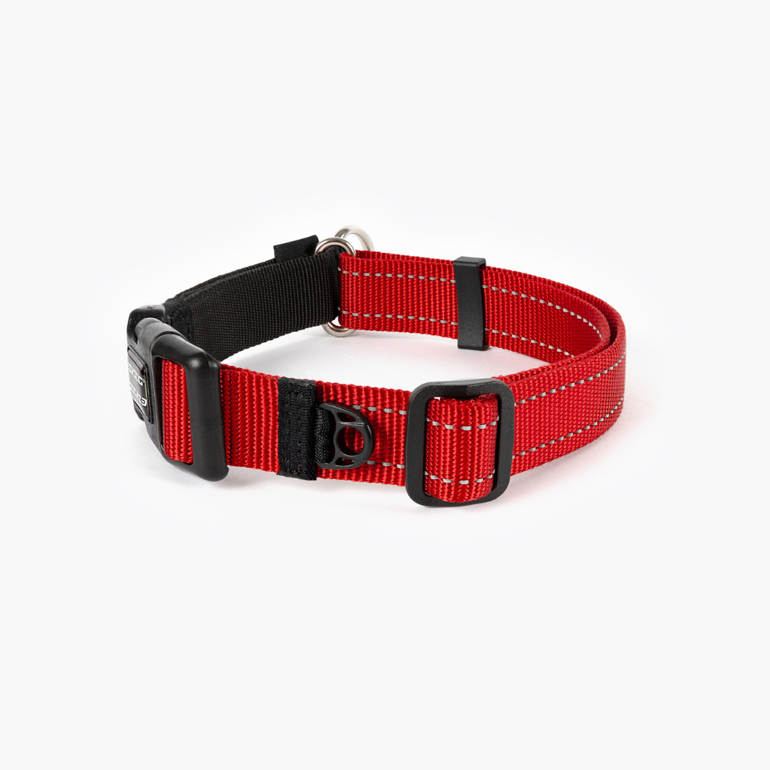 EZYDOG Checkmate Collar