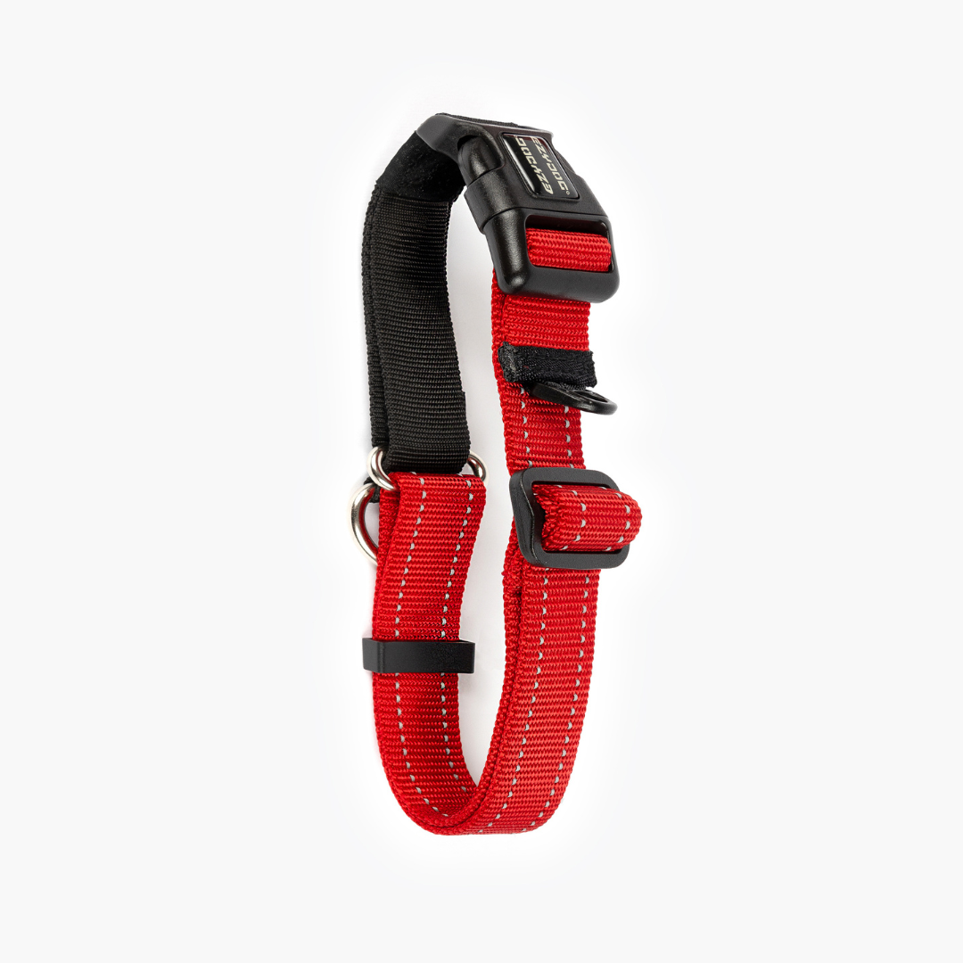 EZYDOG Checkmate Collar