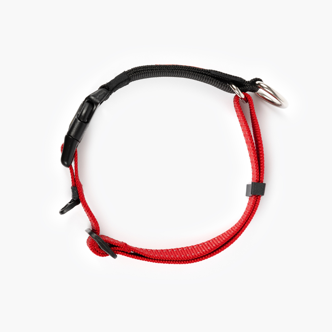 EZYDOG Checkmate Collar