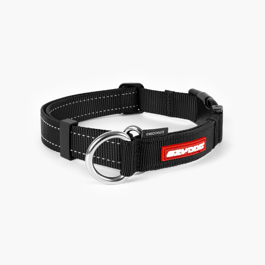 EZYDOG Checkmate Collar
