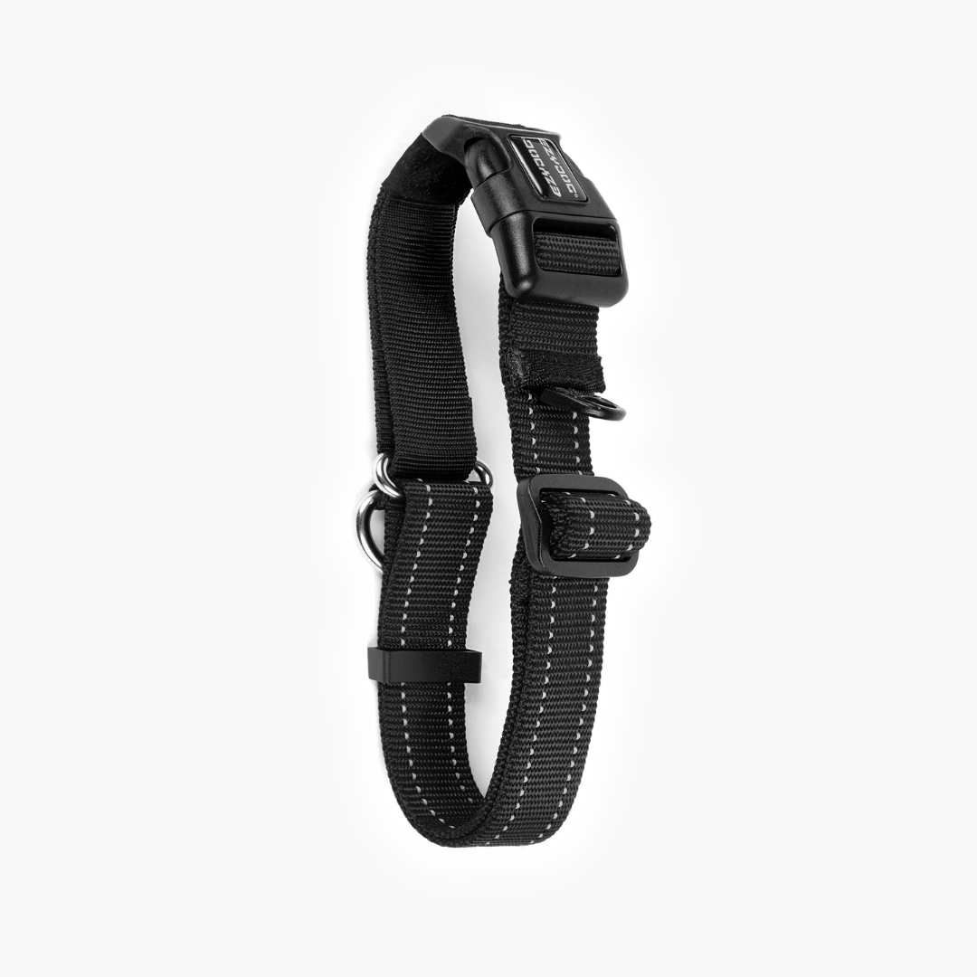EZYDOG Checkmate Collar