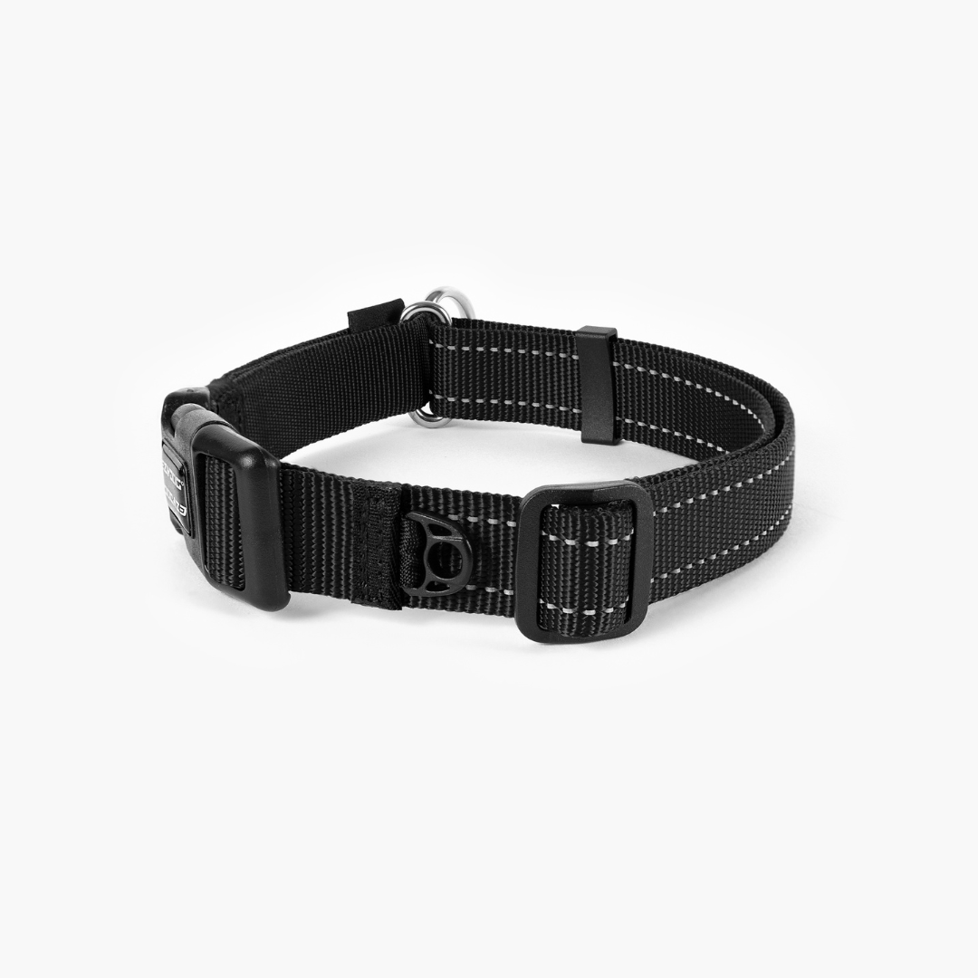 EZYDOG Checkmate Collar
