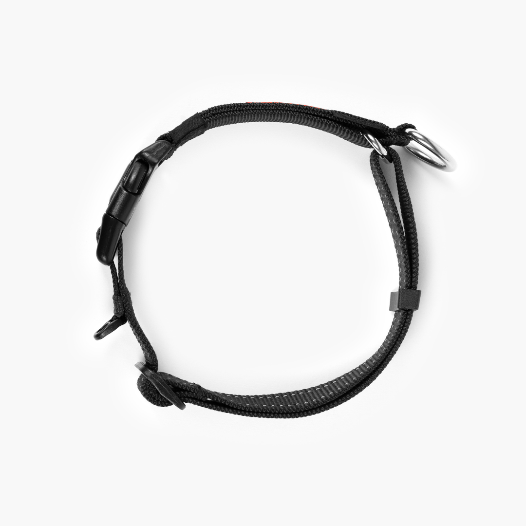 EZYDOG Checkmate Collar