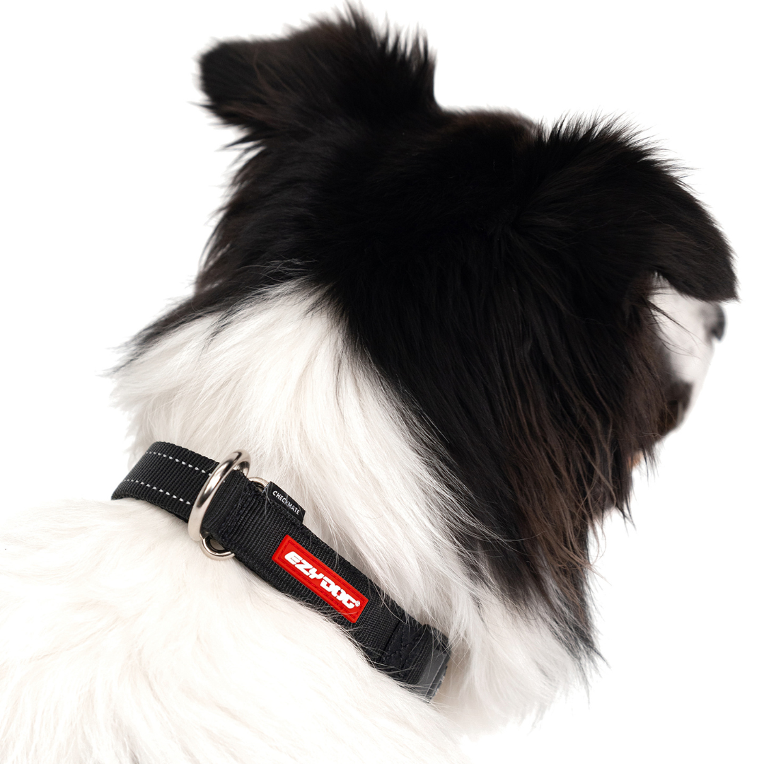 EZYDOG Checkmate Collar