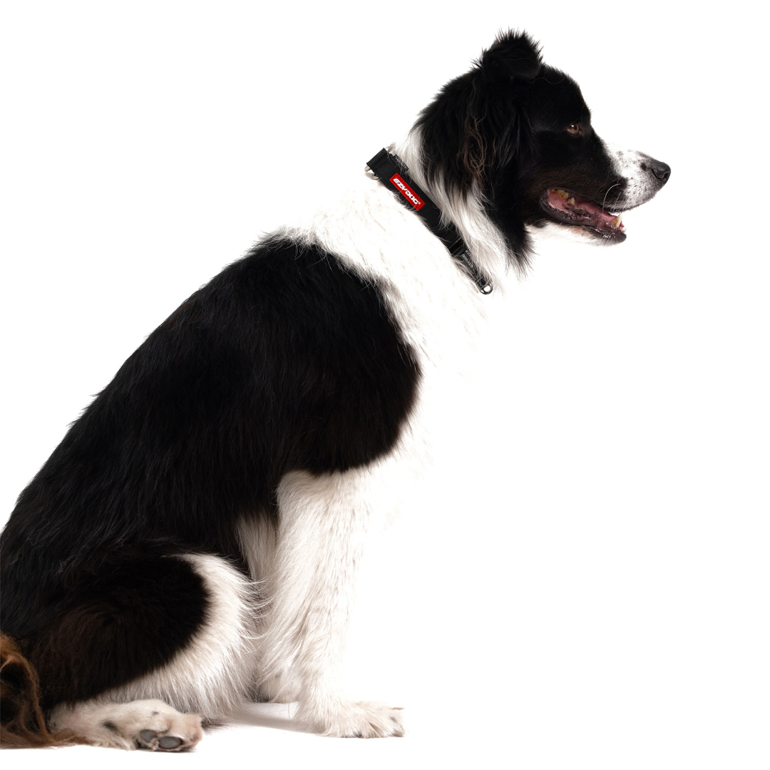 EZYDOG Checkmate Collar
