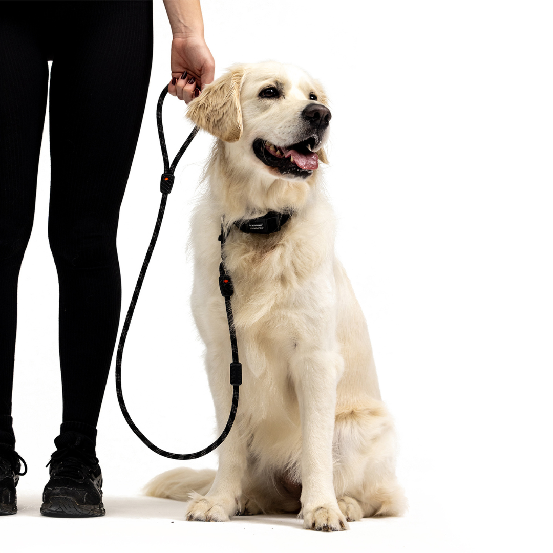 EZYDOG Summit Leash