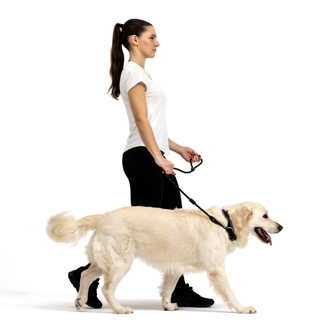 EZYDOG Summit Leash