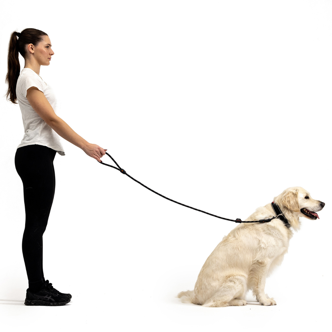 EZYDOG Summit Leash