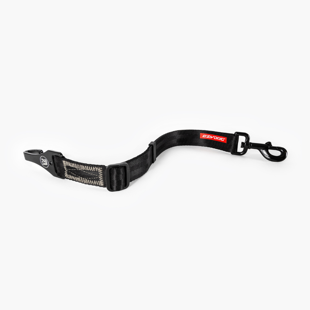 EZYDOG Click ISOFIX Dog Seatbelt