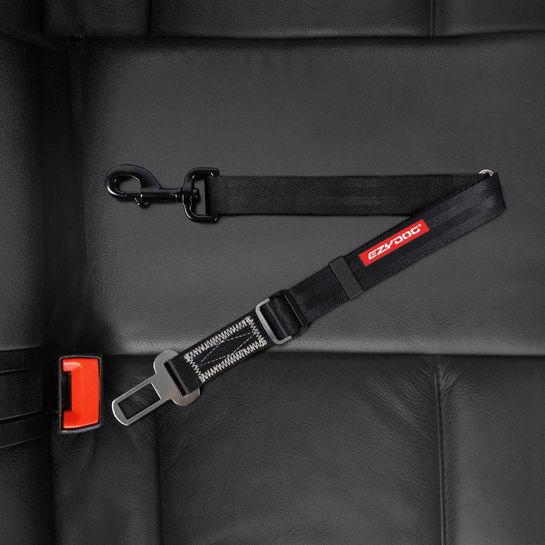 EZYDOG Click Dog Seat Belt