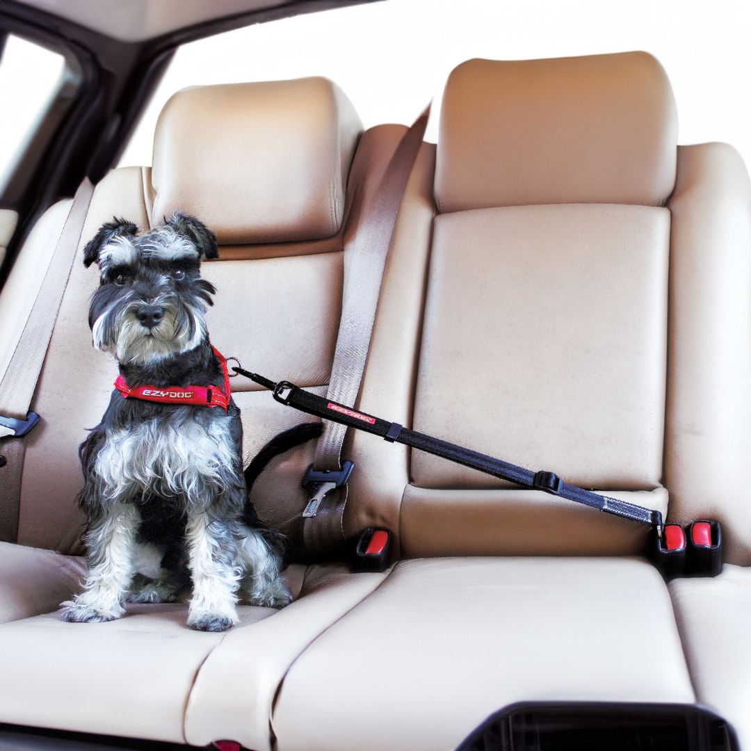 EZYDOG Click Dog Seat Belt