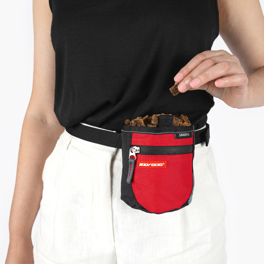 EZYDOG SnakPak Training Treat Bag