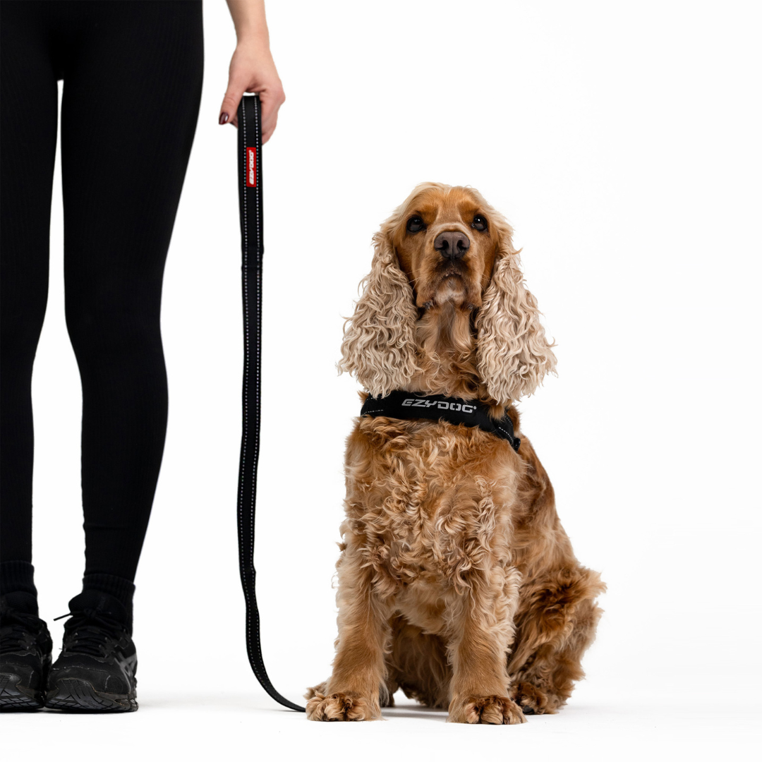 EZYDOG Essential Leash