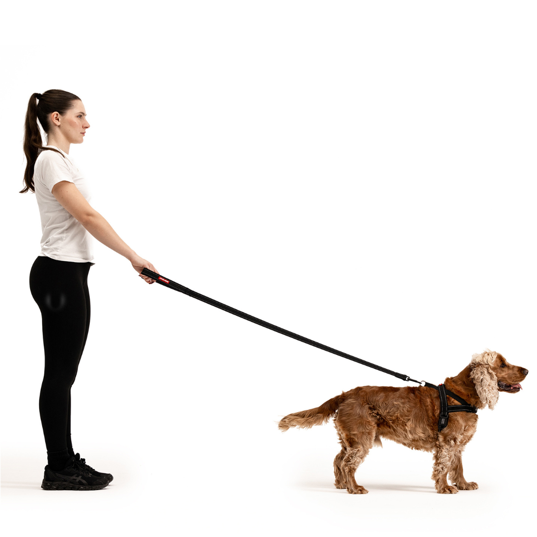 EZYDOG Essential Leash