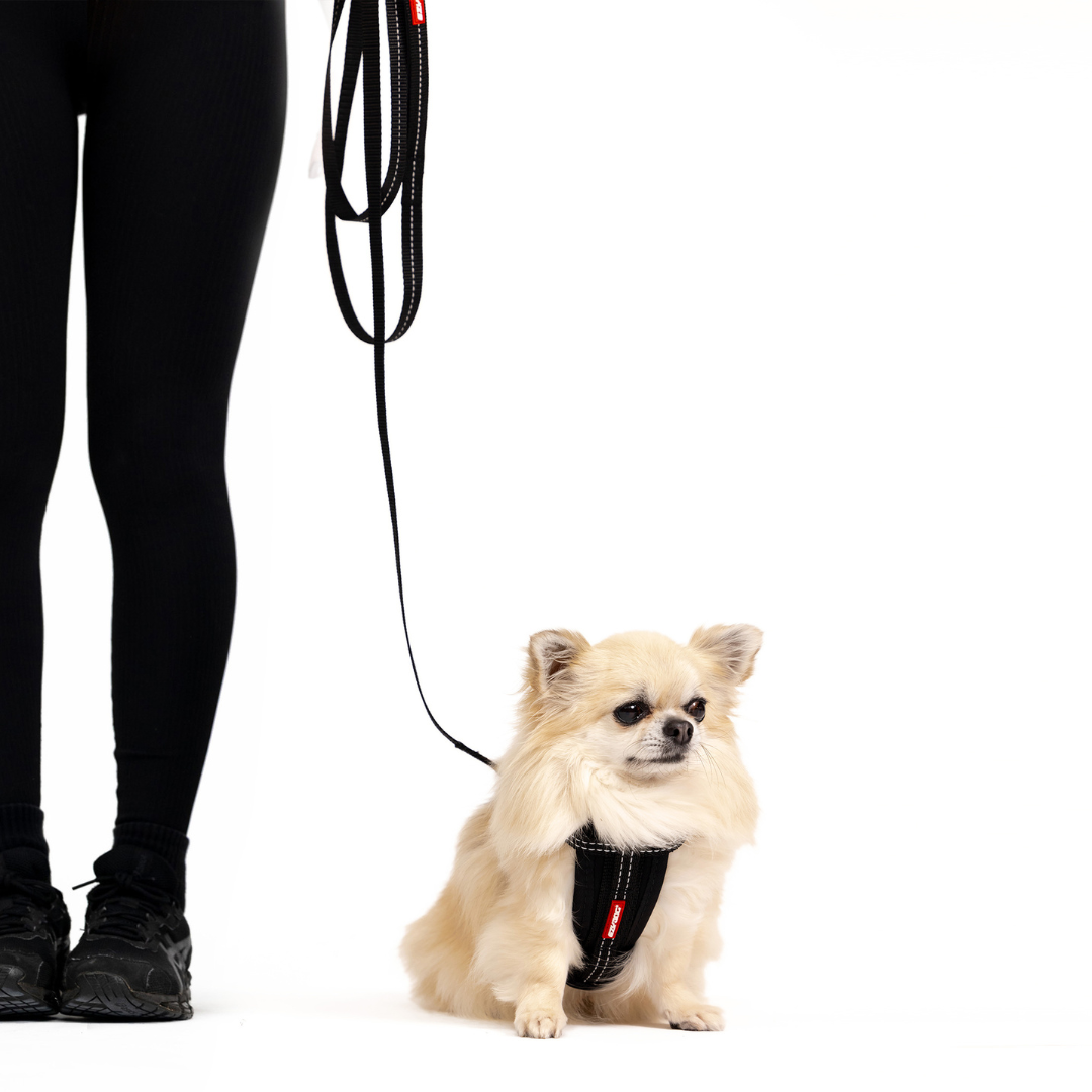 EZYDOG Essential Leash Lite