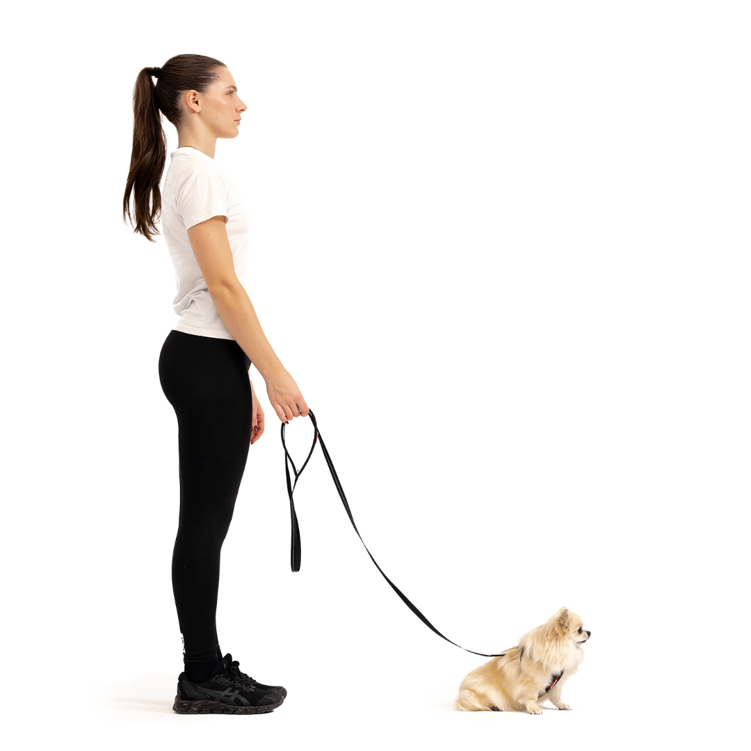 EZYDOG Essential Leash Lite