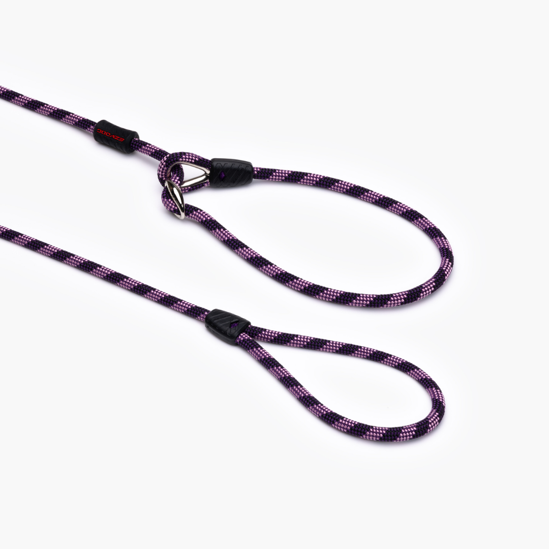 EZYDOG Luca Leash