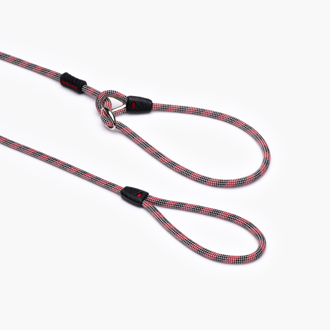 EZYDOG Luca Leash