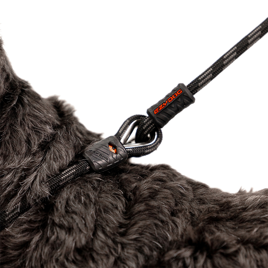 EZYDOG Luca Leash Lite