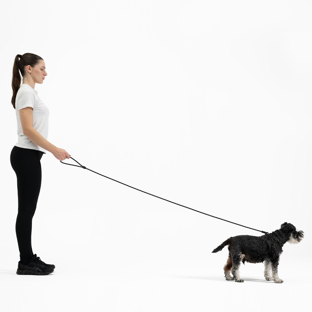 EZYDOG Luca Leash Lite