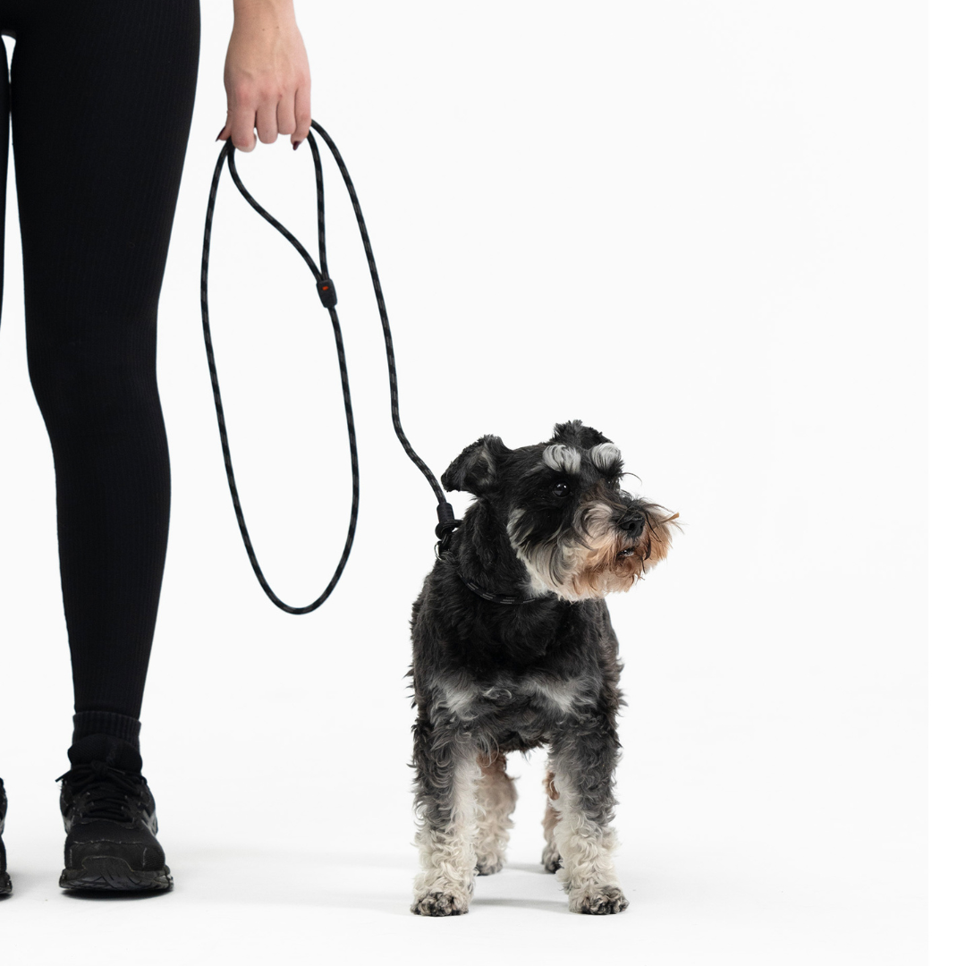 EZYDOG Luca Leash Lite