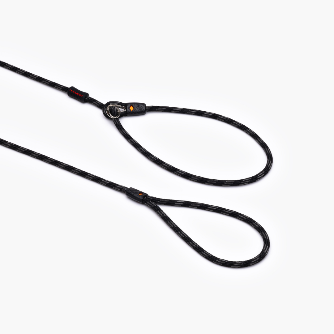 EZYDOG Luca Leash Lite