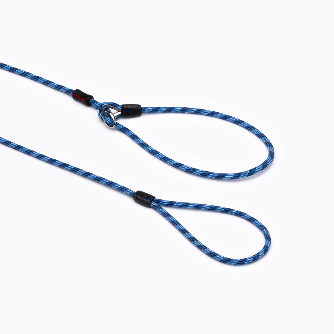 EZYDOG Luca Leash Lite