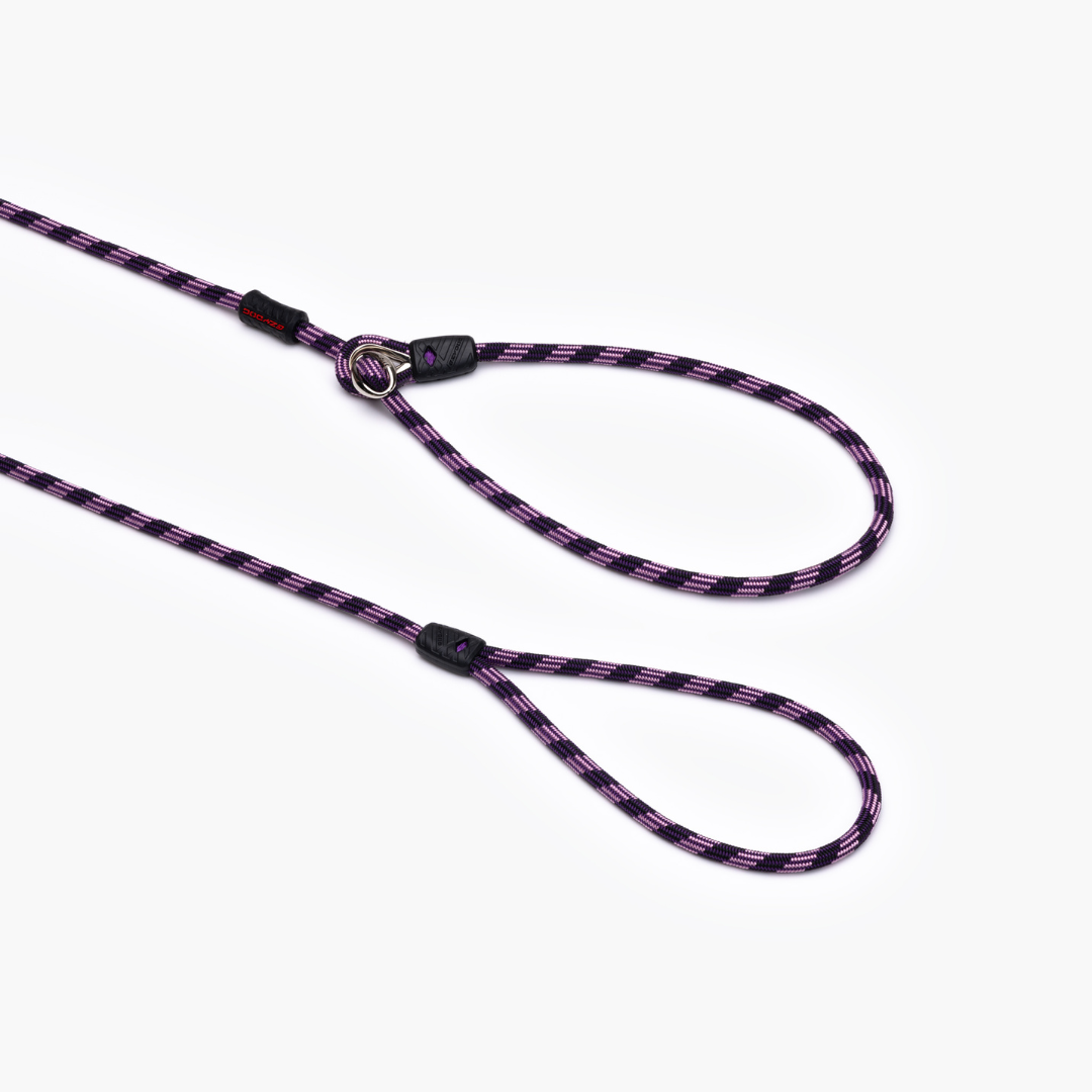 EZYDOG Luca Leash Lite