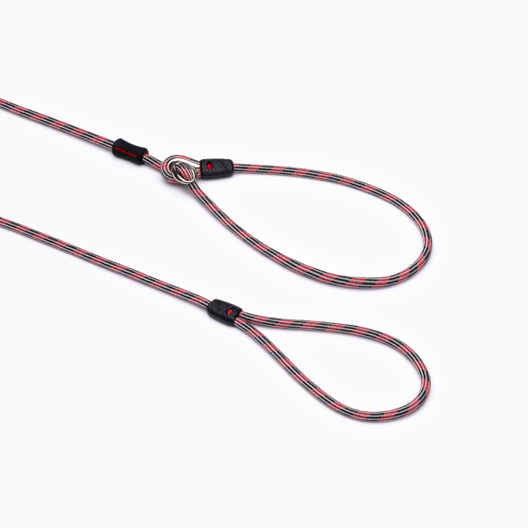 EZYDOG Luca Leash Lite