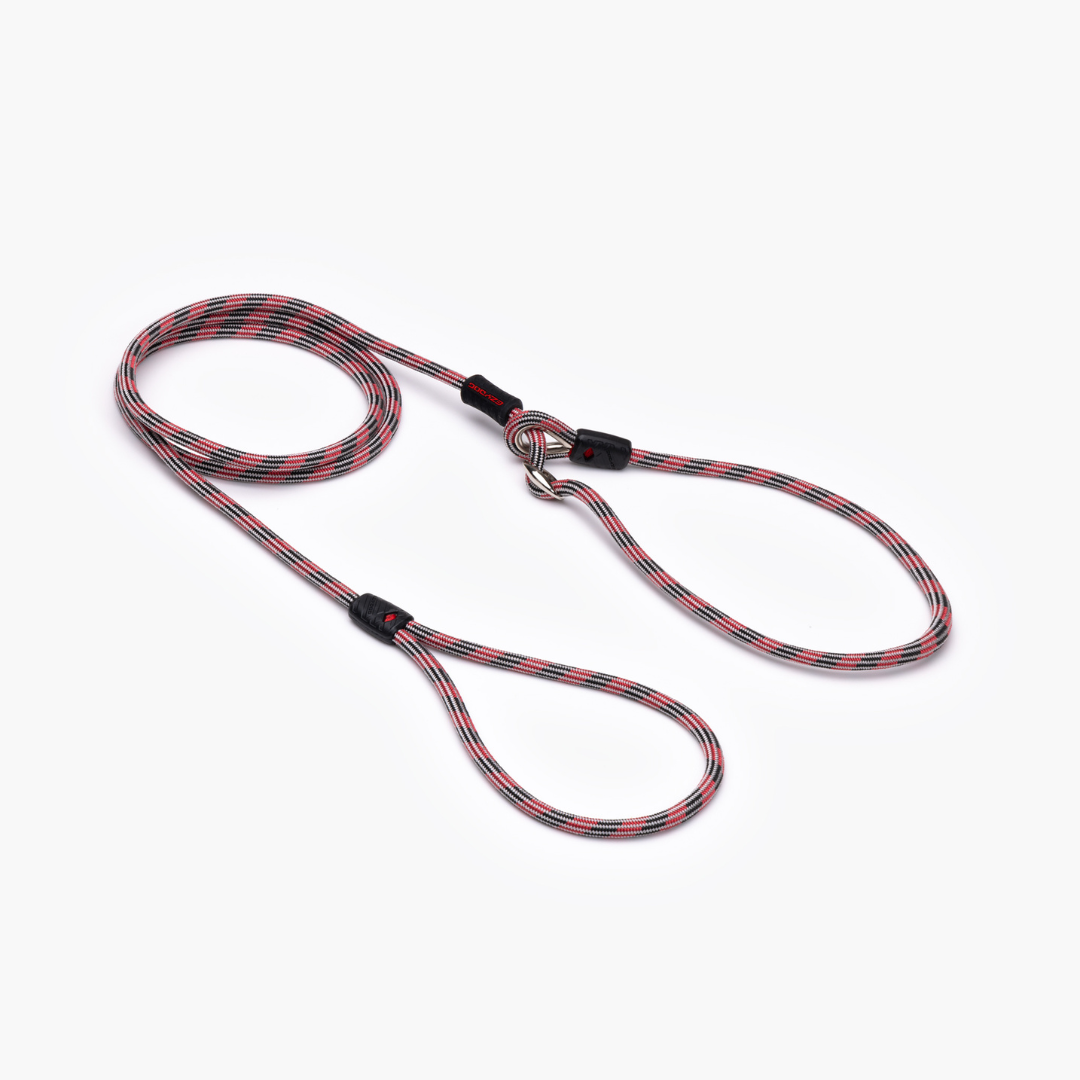 EZYDOG Luca Leash Lite