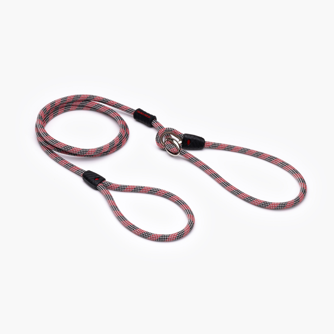 EZYDOG Luca Leash
