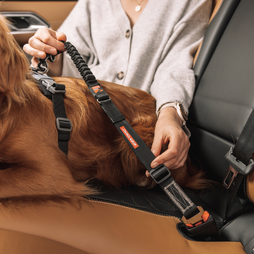 EZYDOG Click Zero Shock Seatbelt Attachment