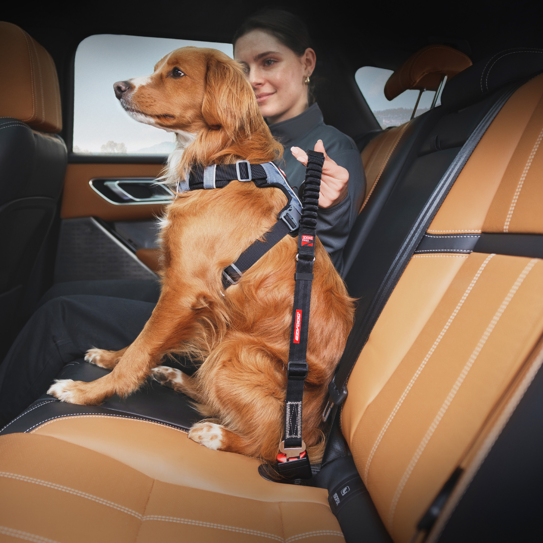 EZYDOG Click Zero Shock Seatbelt Attachment