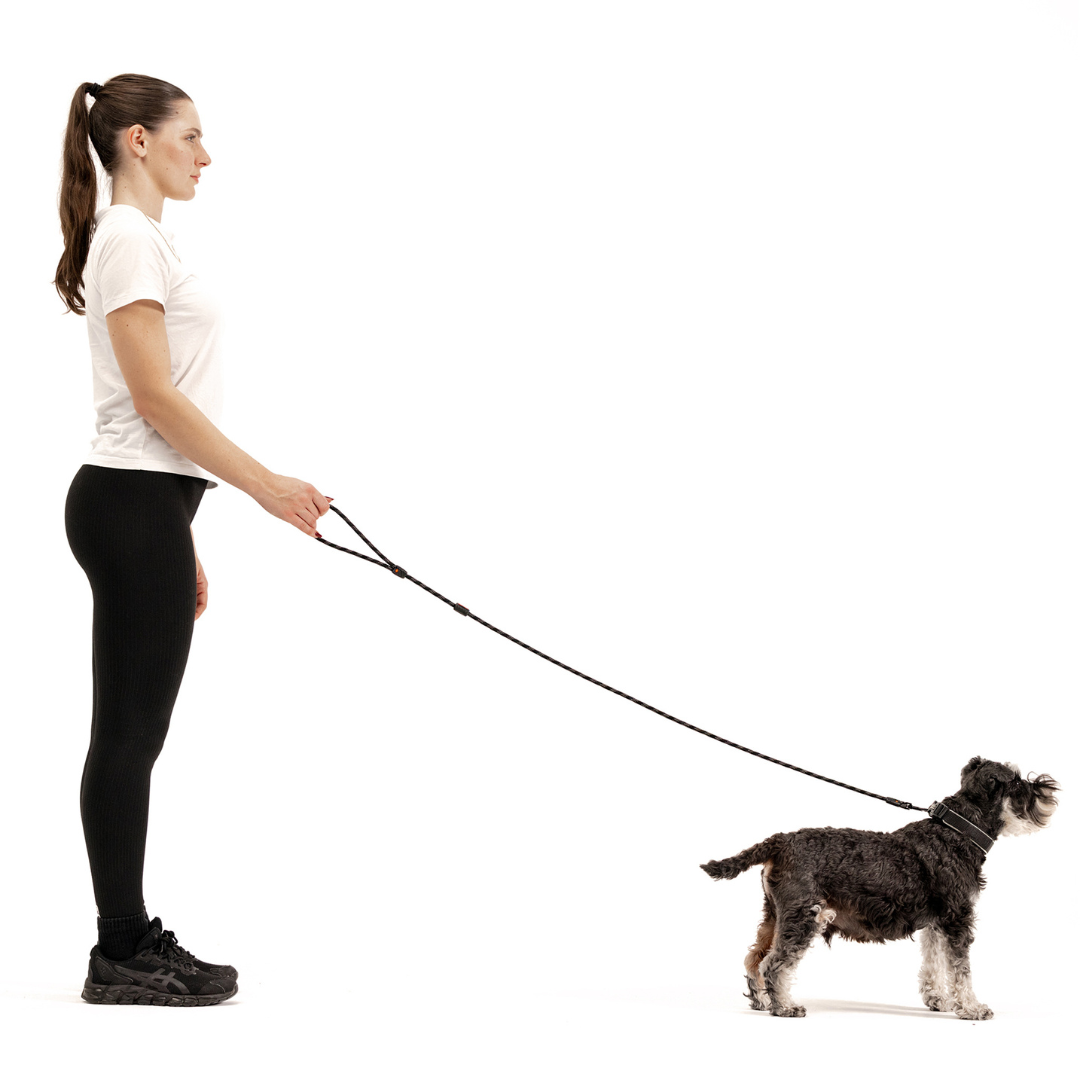 EZYDOG Summit Leash Lite