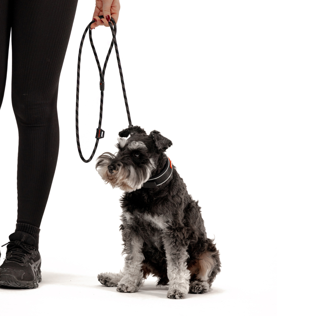 EZYDOG Summit Leash Lite