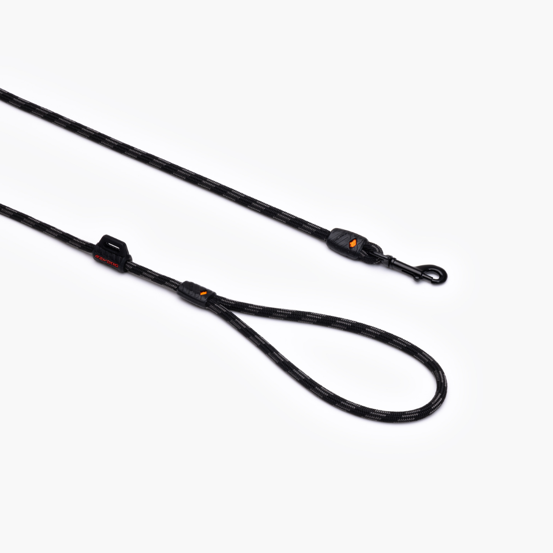 EZYDOG Summit Leash Lite