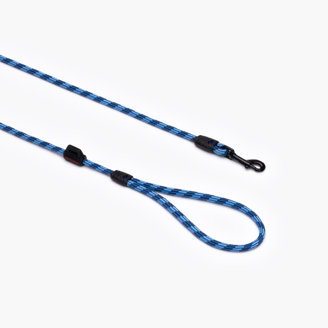 EZYDOG Summit Leash Lite