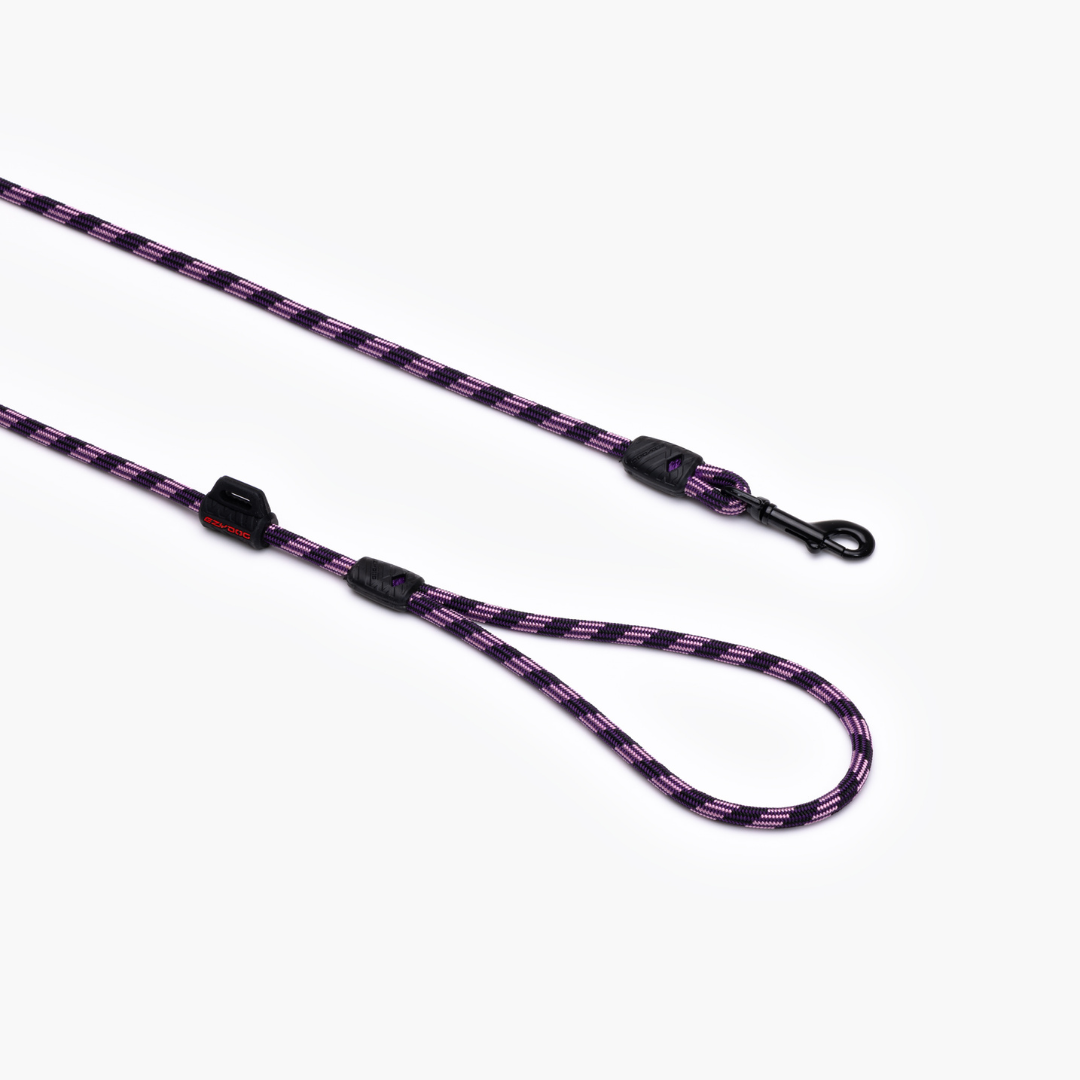 EZYDOG Summit Leash Lite